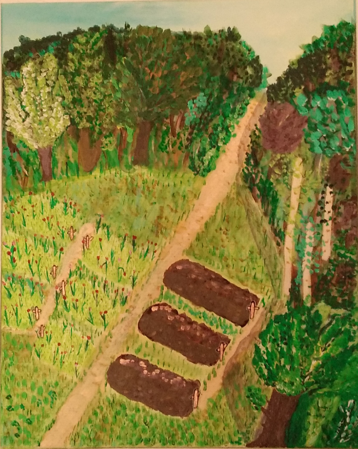 Promenade au milieu des coquelicots